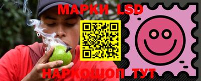 Альфа ПВП Малгобек
