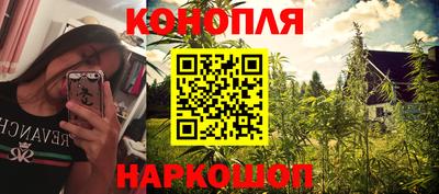 Альфа ПВП Малгобек
