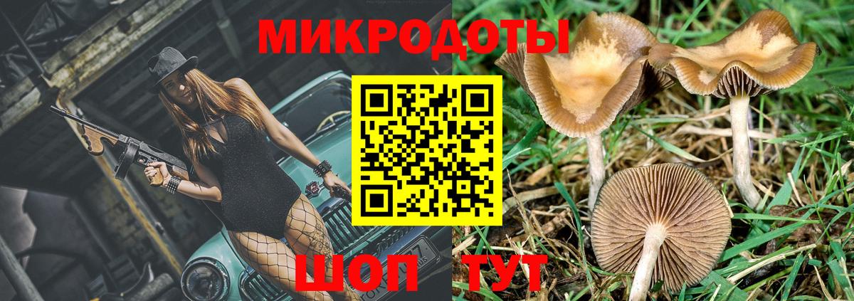 Серов  Галлюциногенные грибы мицелий  Вход с VPN 